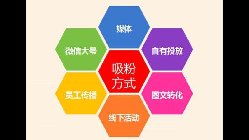 SEO优化平台：揭秘其优缺点，助你明智选择