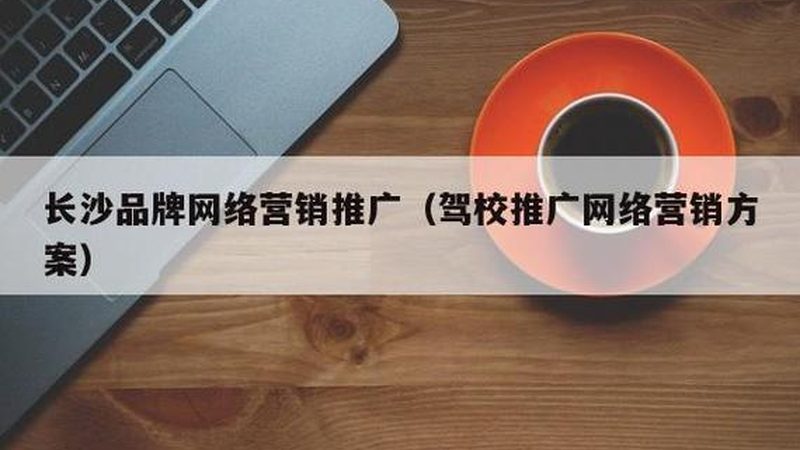 行业背景：编程教育成为新风口，软文推广需紧跟趋势